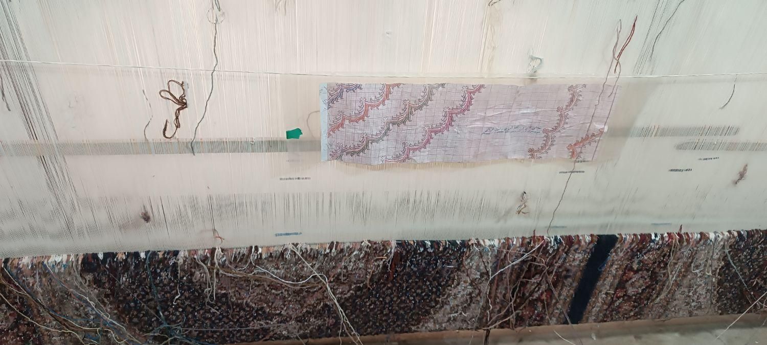 یک فرش دو در سه  جفت قالیچه به فروش می‌رسد|فرش|خوی, |دیوار