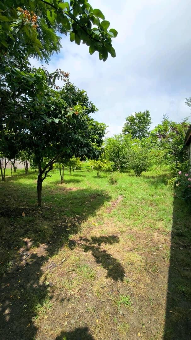 فروش زمین ۲۲۰۰ متری باغی ،گلخانه،طبیعت/آناملک|فروش زمین و ملک کلنگی|رشت, منظریه|دیوار
