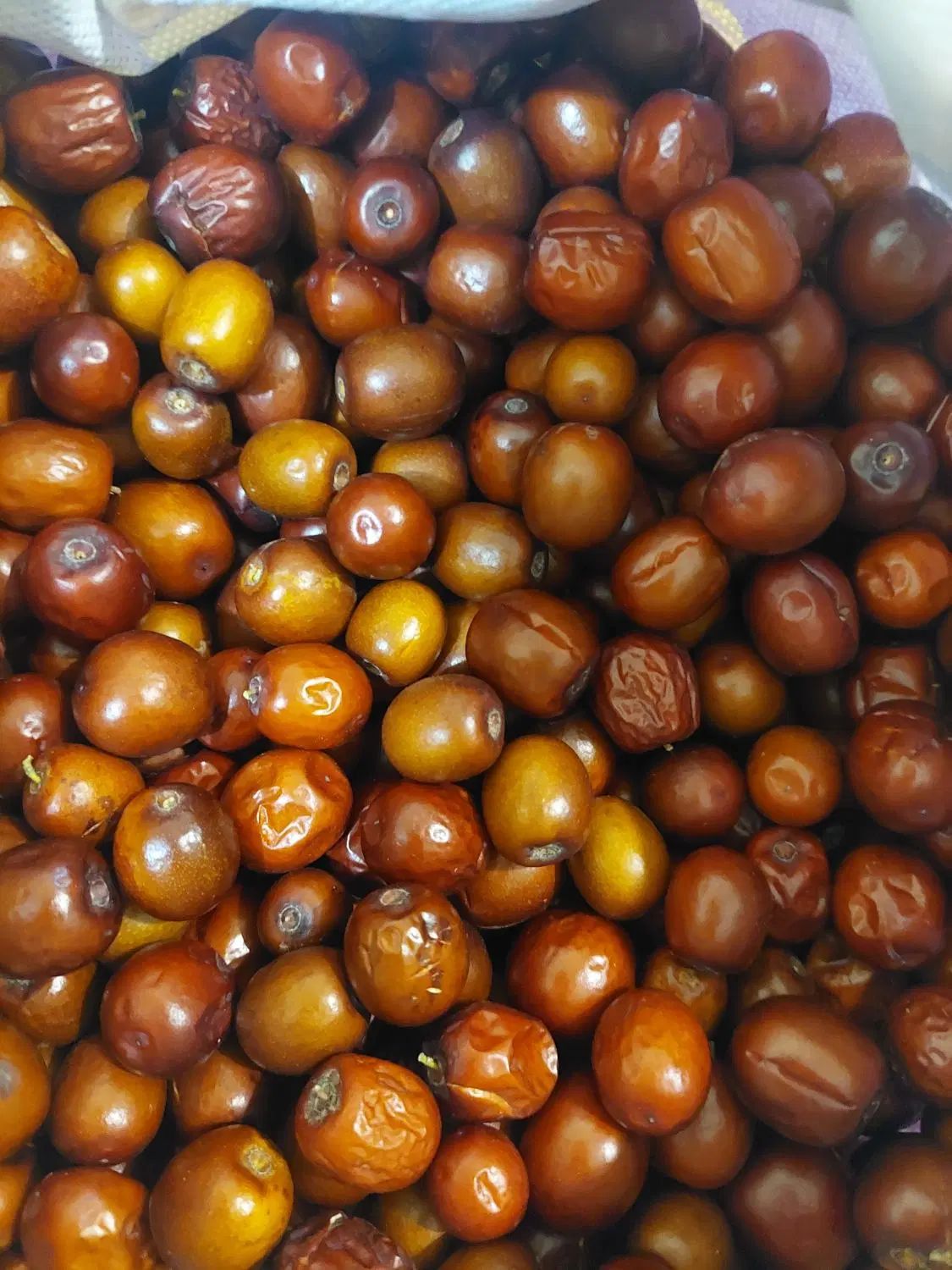 عناب تازه بیرجند|خوردنی و آشامیدنی|تهران, توحید|دیوار