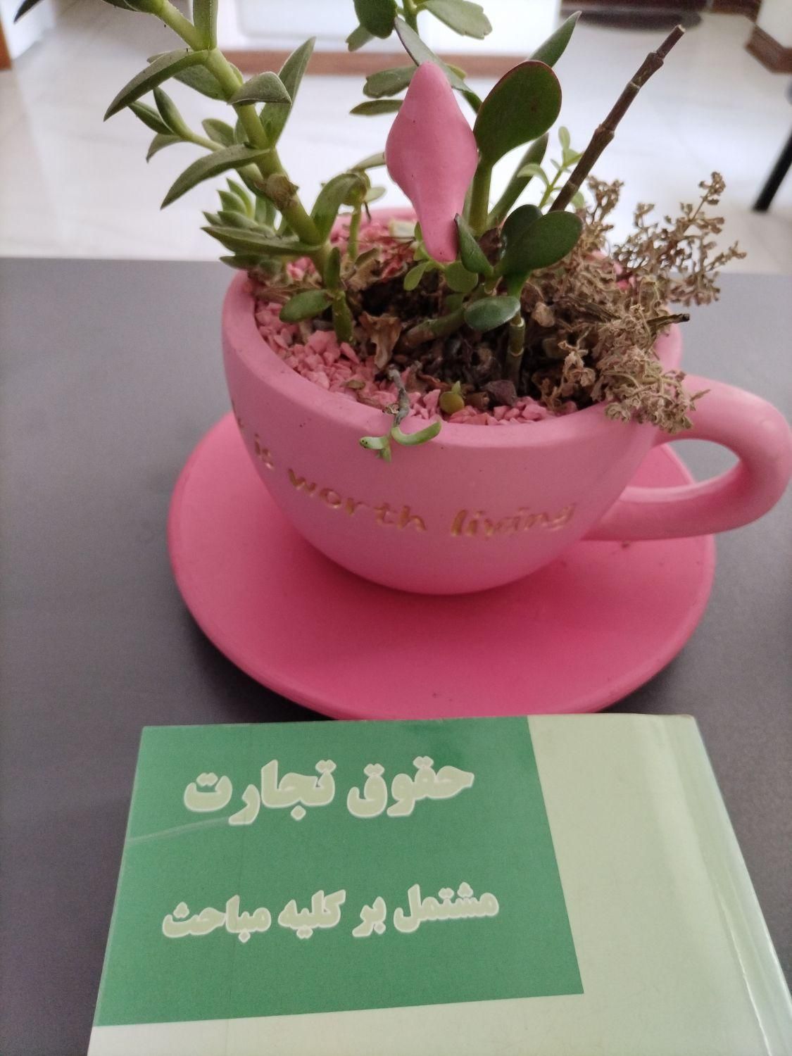 ثبت شرکت.کارت بازرگانی. کدمالیاتی|خدمات مالی، حسابداری، بیمه|کرج, گلشهر|دیوار
