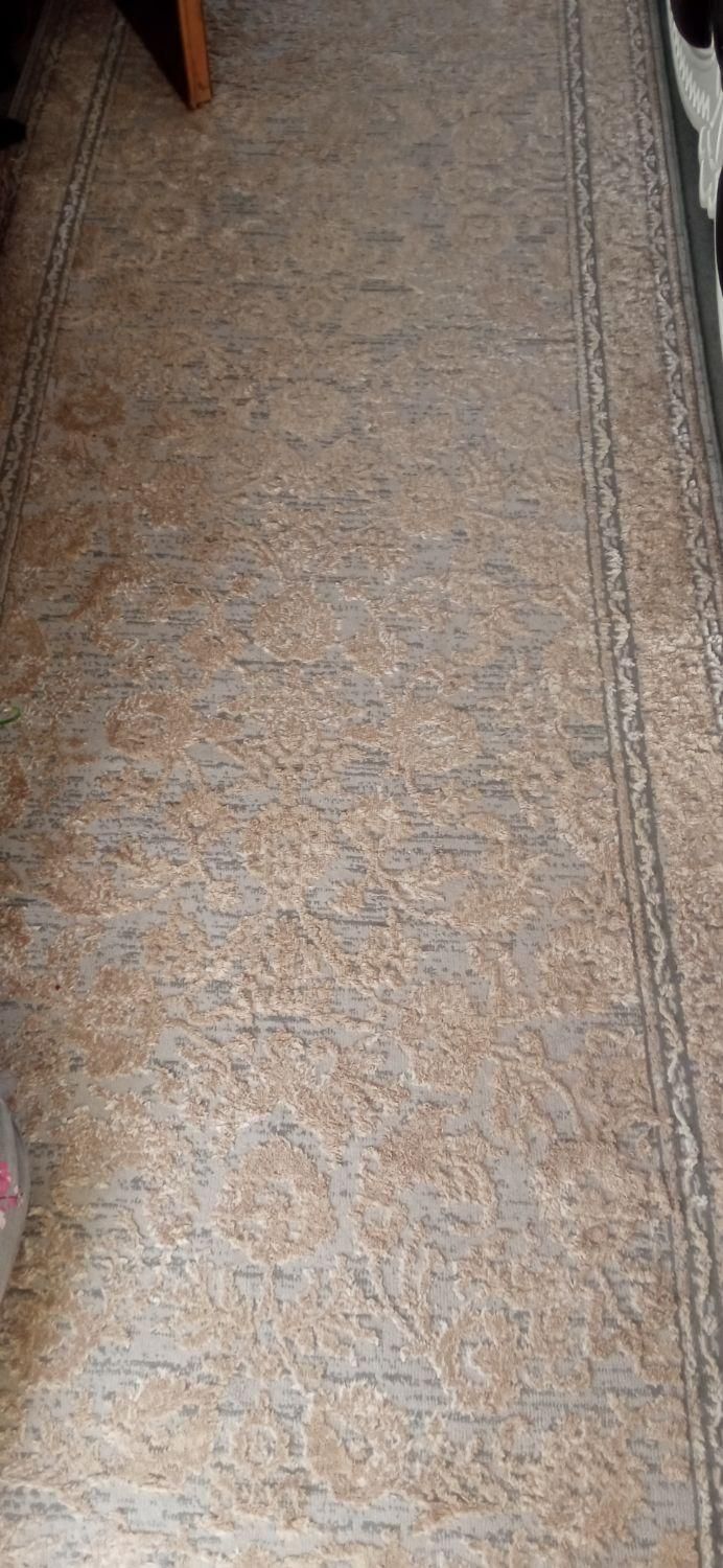 کناره فرش پتینه|فرش|مشهد, کوی سیدی|دیوار