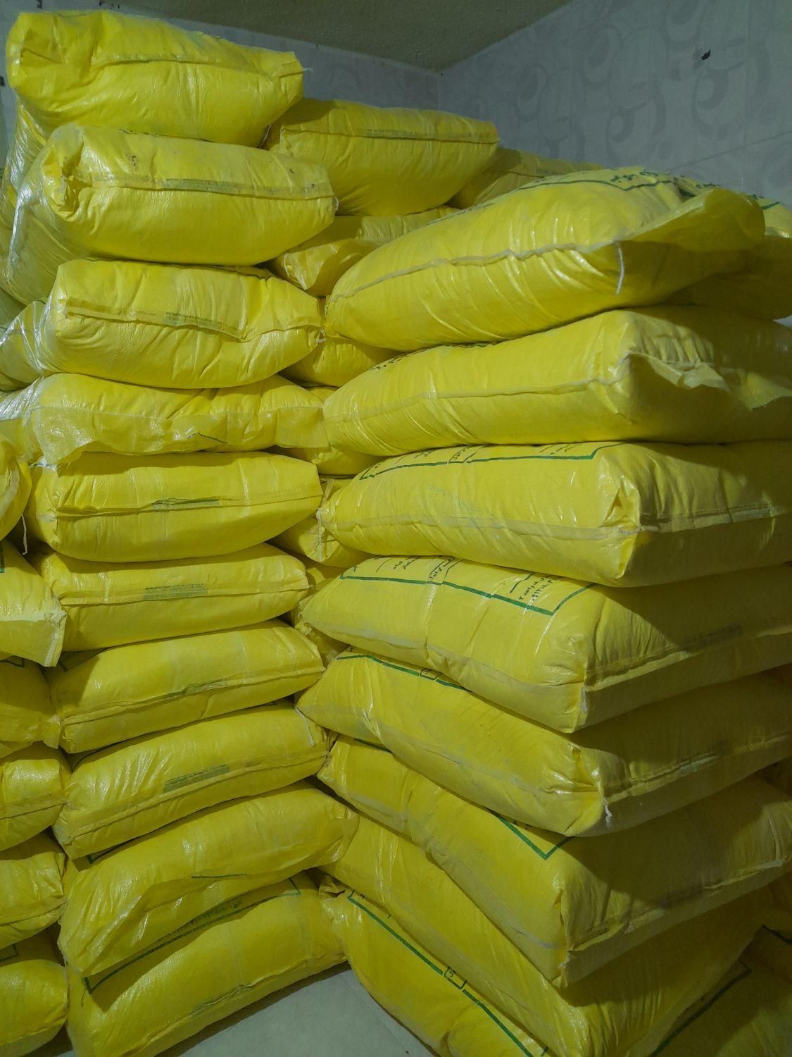 گل گوگرد طلایی ملایر|گل و گیاه طبیعی|ایلخچی, |دیوار