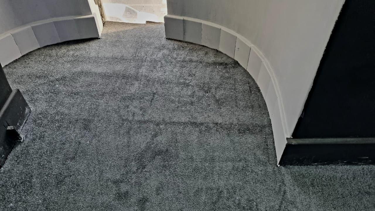 پالاز موکت نمایشگاهی|موکت|نسیمشهر, |دیوار