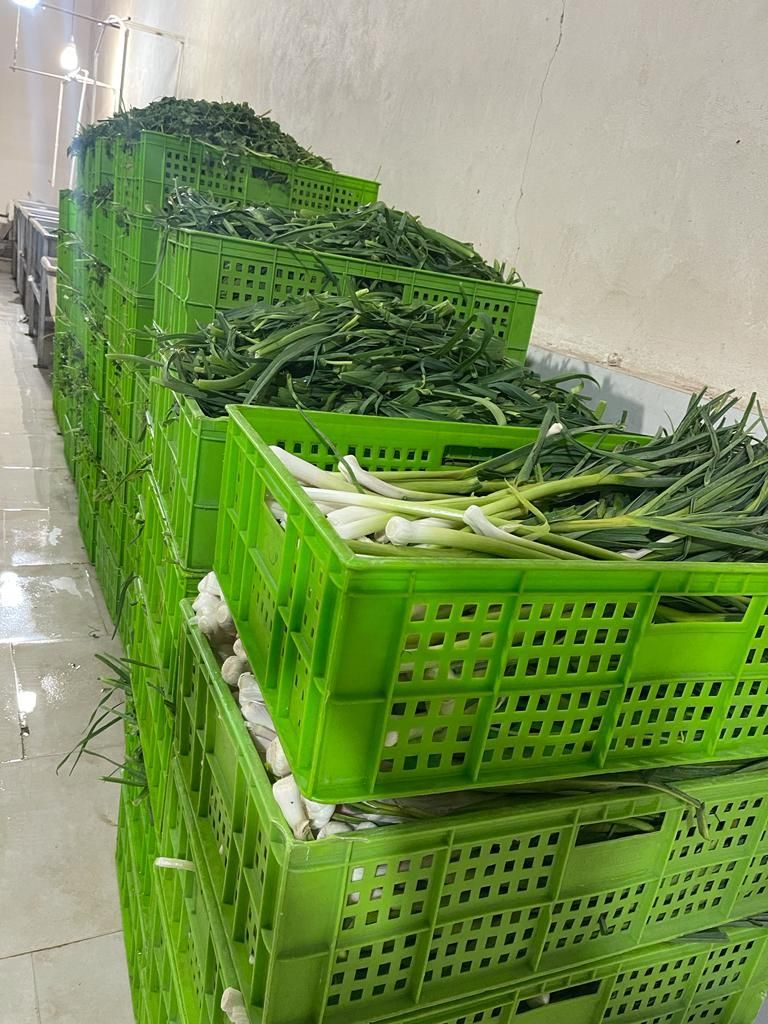 همکار،کارگر در سبزی خردکنی باجای خواب،خانم یاآقا|استخدام خدمات فروشگاه و رستوران|تهران, خزانه|دیوار