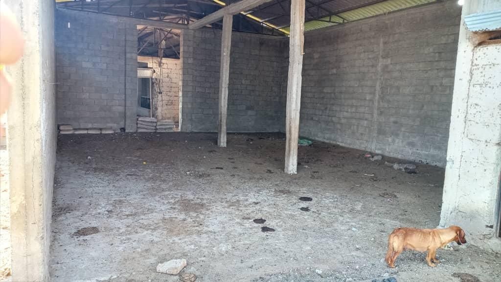 شریک و سرمایه گذاری در گاوداری پرواربندی ه گوشتی|حیوانات مزرعه|تهران, ائمه اطهار|دیوار