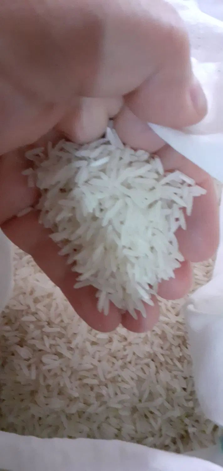 برنج طارم هاشمی خوشپخت خوش طعم باقیمت مناسب|عمده‌فروشی|ری, دیلمان|دیوار