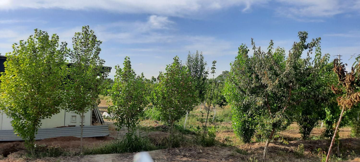 فروش زمین باغی ۲۱۵ متری در کریم‌آباد|فروش زمین و ملک کلنگی|تهران, کریم‌آباد|دیوار