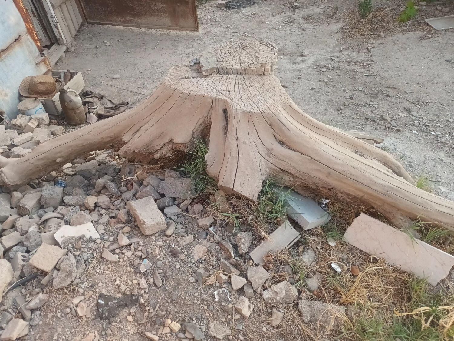 کنده درخت|مجسمه، تندیس، ماکت|اصفهان, ردان|دیوار