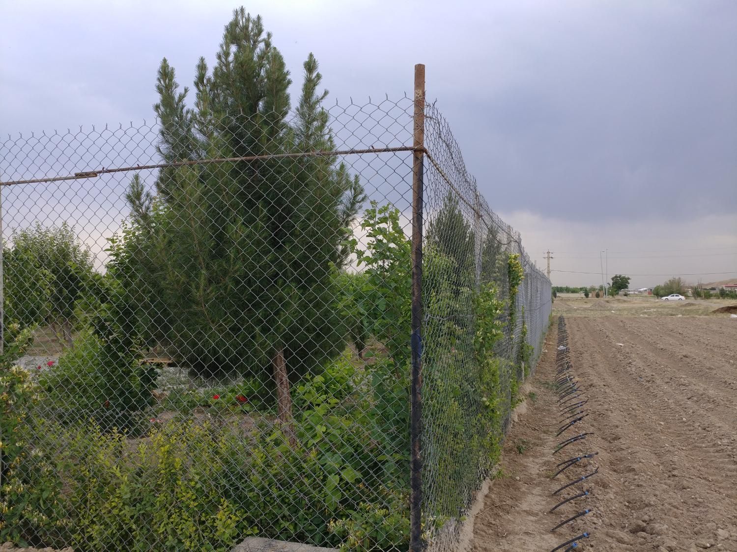 اجاره باغچه محصورجهت مشاغل مناسب*گلخانه*ضایعات. .|اجارهٔ دفتر صنعتی، کشاورزی، تجاری|محمدشهر, محمدشهر|دیوار