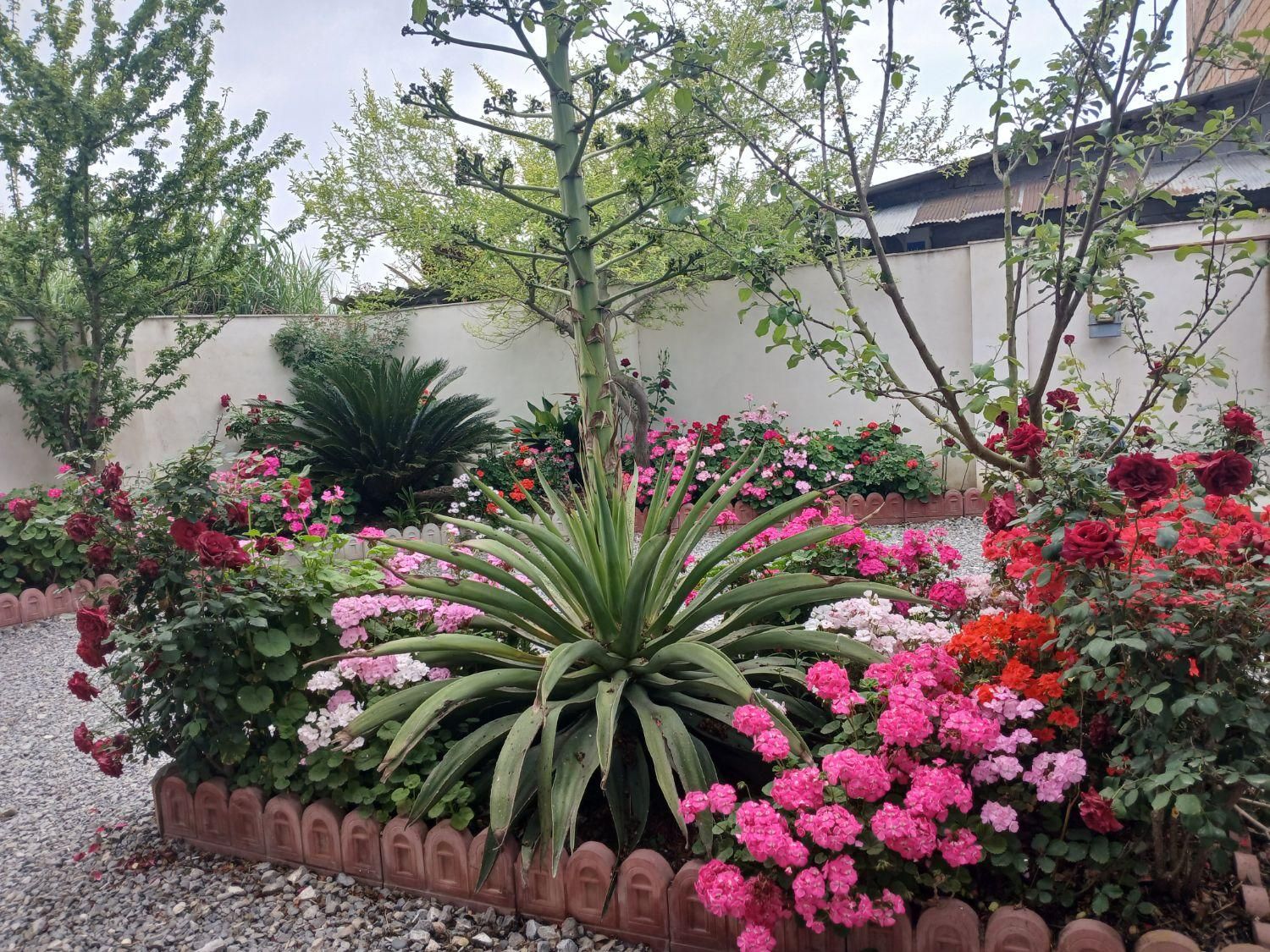 اجاره روزانه/هفتگی/ماهانه ویلا ۵۰ متری|اجارهٔ کوتاه‌مدت ویلا و باغ|بابلسر, |دیوار