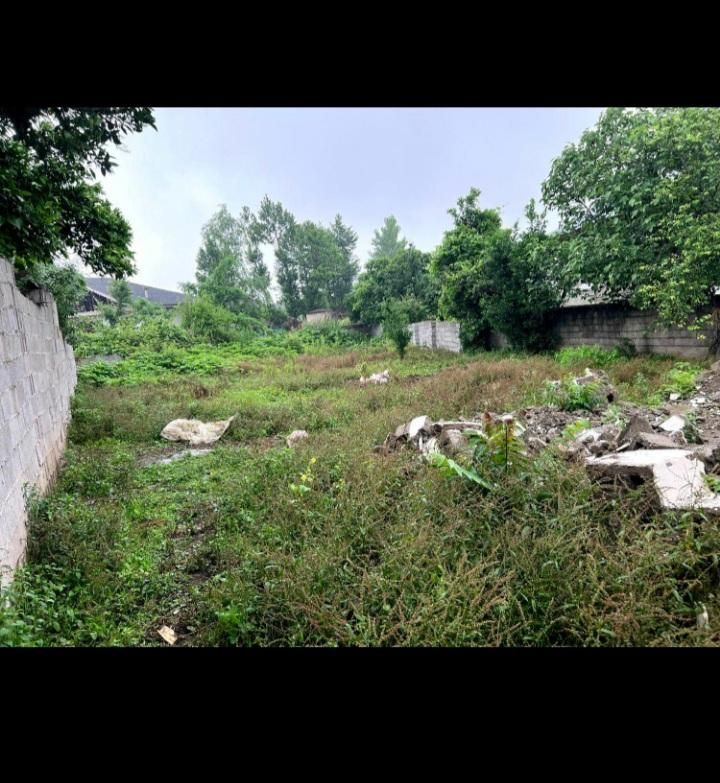 زمین ۳۹۰متری مسکونی با جواز ساخت و سند تکبرگ شمال|فروش زمین و ملک کلنگی|تهران, دانشگاه شریف|دیوار