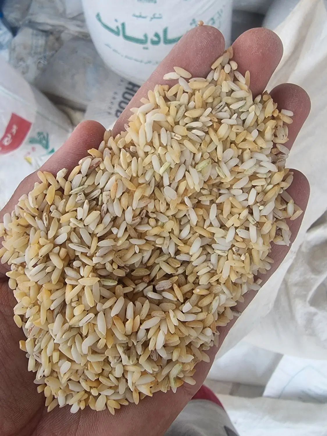 برنج زرده نم گرفته تو پخت سفید میشه عنبربو|خوردنی و آشامیدنی|اهواز, حصیرآباد|دیوار
