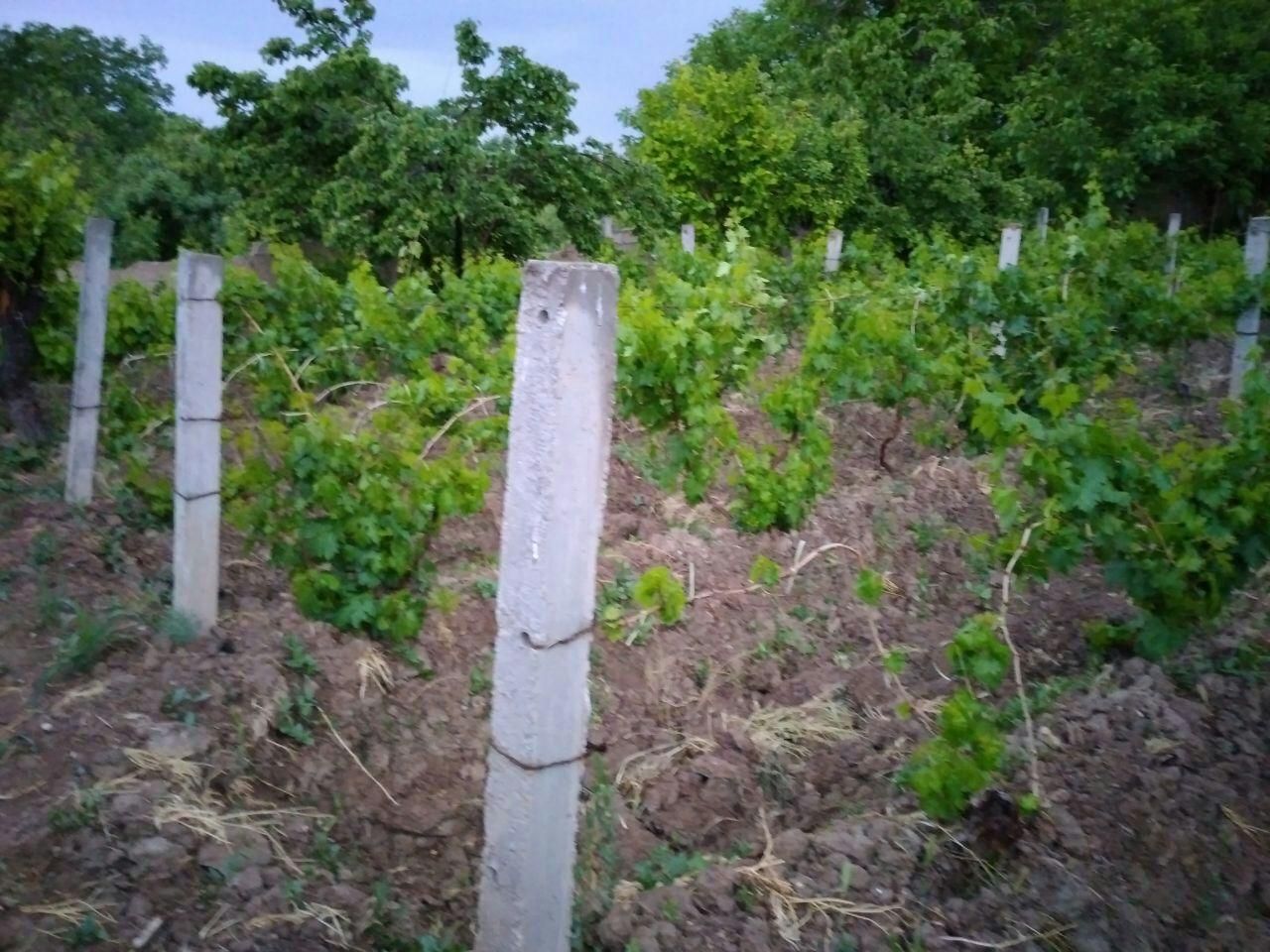 پایه مو، پایه فنس، پُل، ایرانیت و سازه های بتنی|مصالح و تجهیزات ساختمان|اصفهان, تیران|دیوار