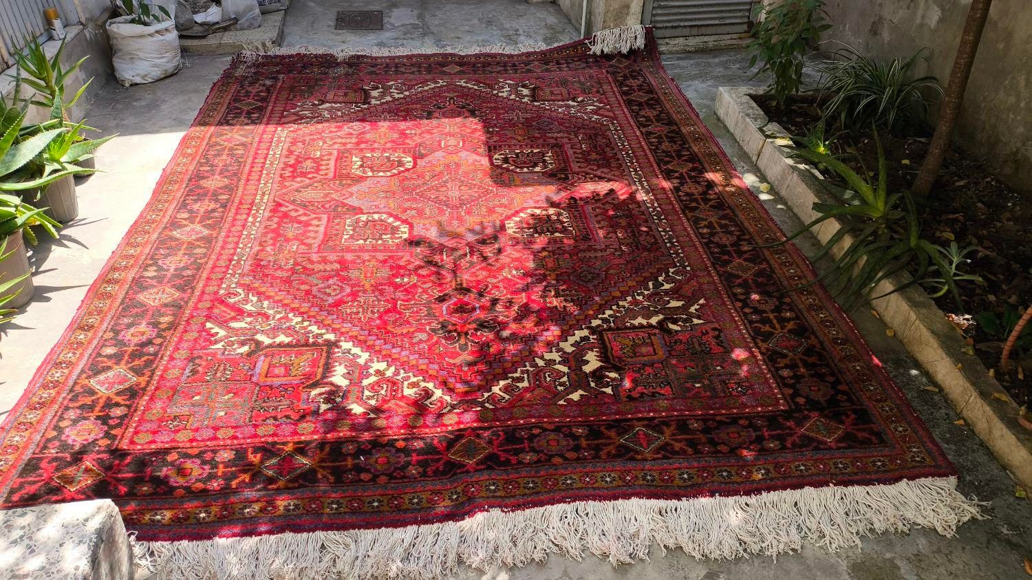 فرش دستباف تبریز|فرش|رشت, فلسطین|دیوار