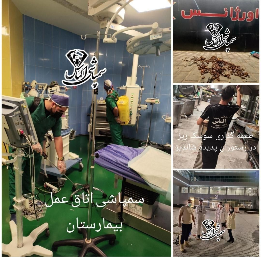 سمپاشی ساس،موش سوسک موریانه شپش گال(تضمینی)سم پاشی|خدمات نظافت|تهران, خلیج فارس|دیوار