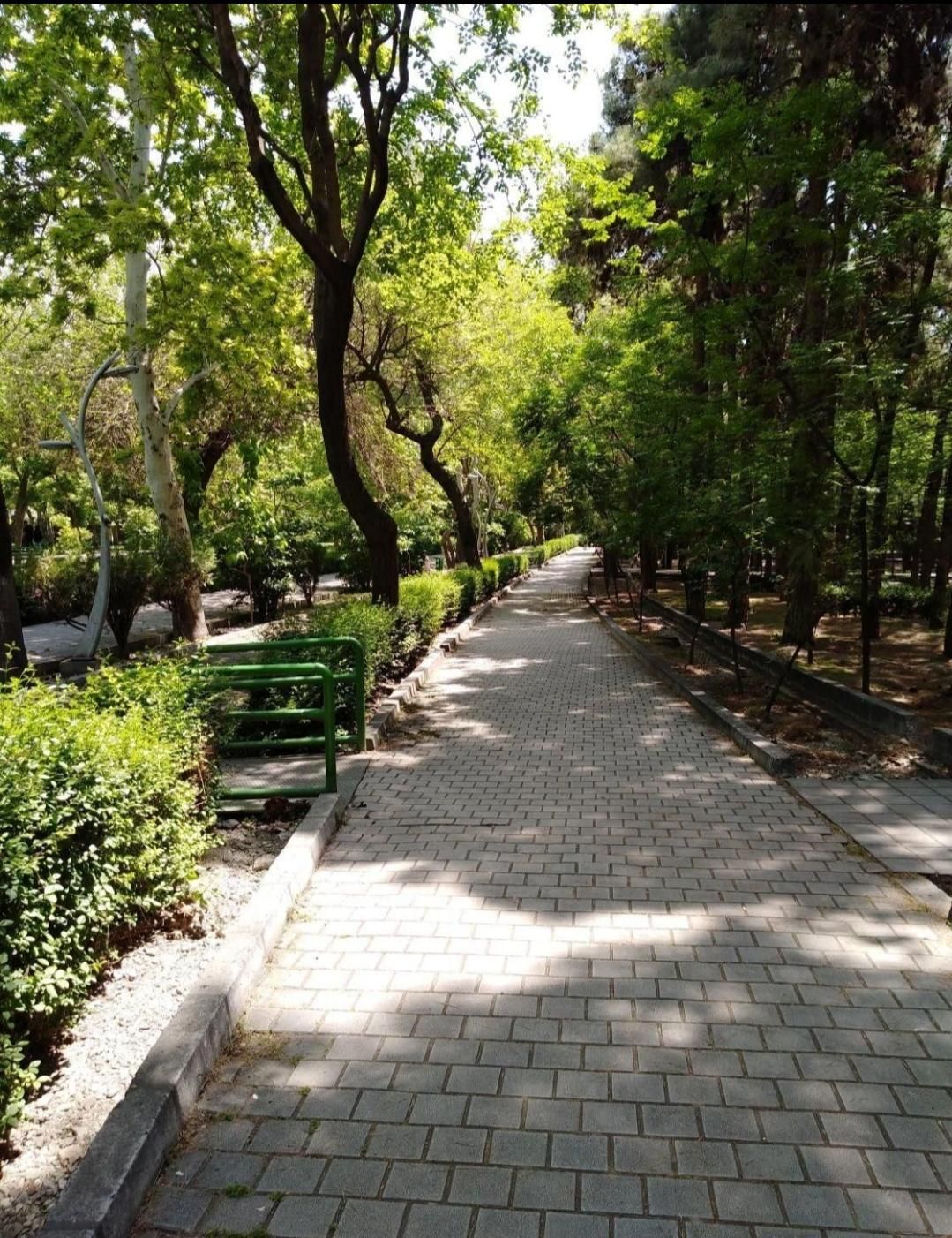 دهکده باغستان غربی|کوهنوردی و کمپینگ|کرج, باغستان|دیوار