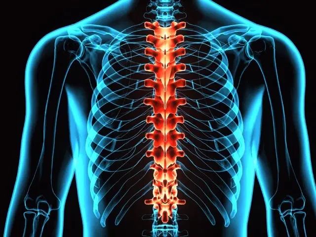 سرمایه گذاری در مطب ستون فقرات و زانو( تکمیل)|خدمات مالی، حسابداری، بیمه|تهران, الهیه|دیوار