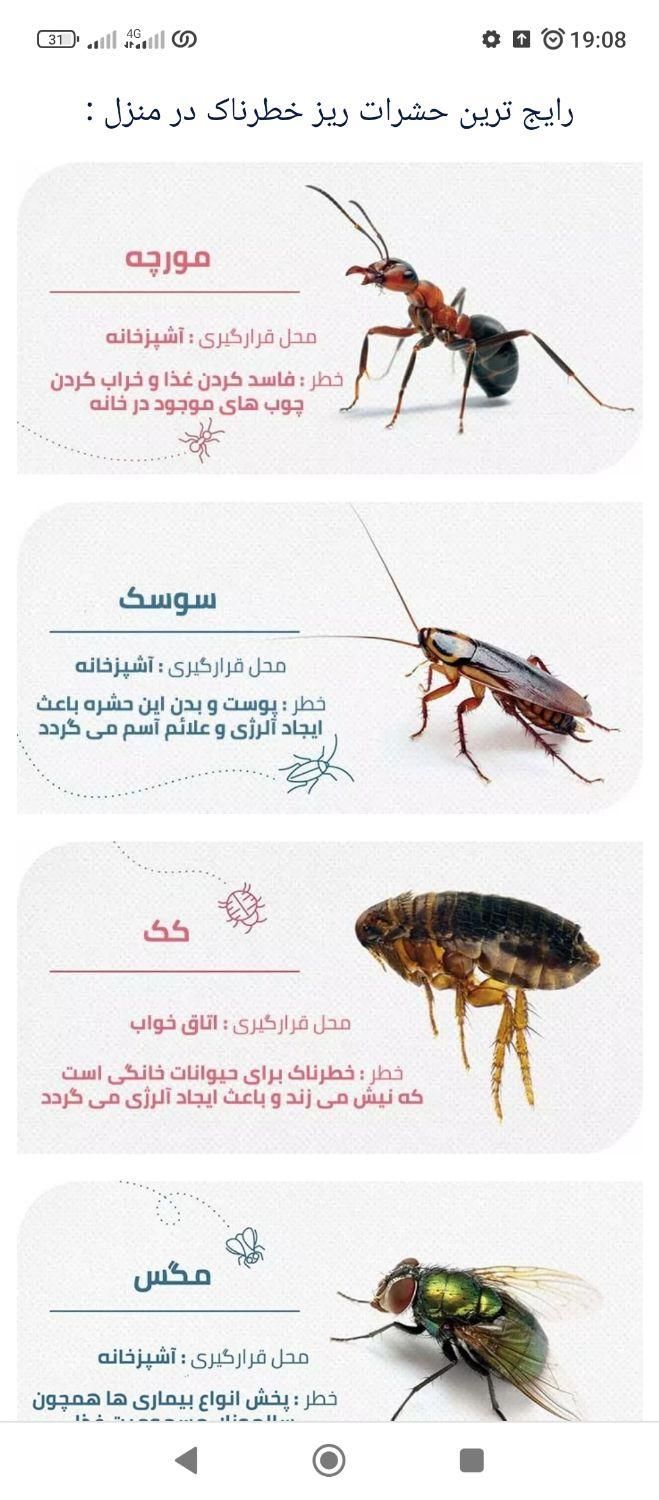 سمپاشی ساختمان و رستوران های واداره جات وخوابگاهای|خدمات نظافت|چابهار, |دیوار