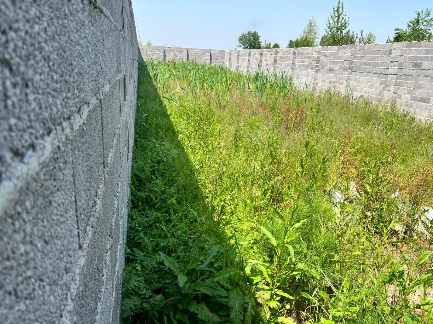 زمین ایده ال|فروش زمین و ملک کلنگی|رشت, بازار|دیوار