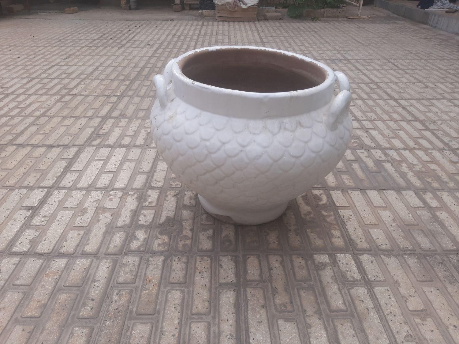 گلدان بزرگ سفالی با روکش سرامیک|گل و گیاه طبیعی|اسلام‌‌آباد غرب, |دیوار