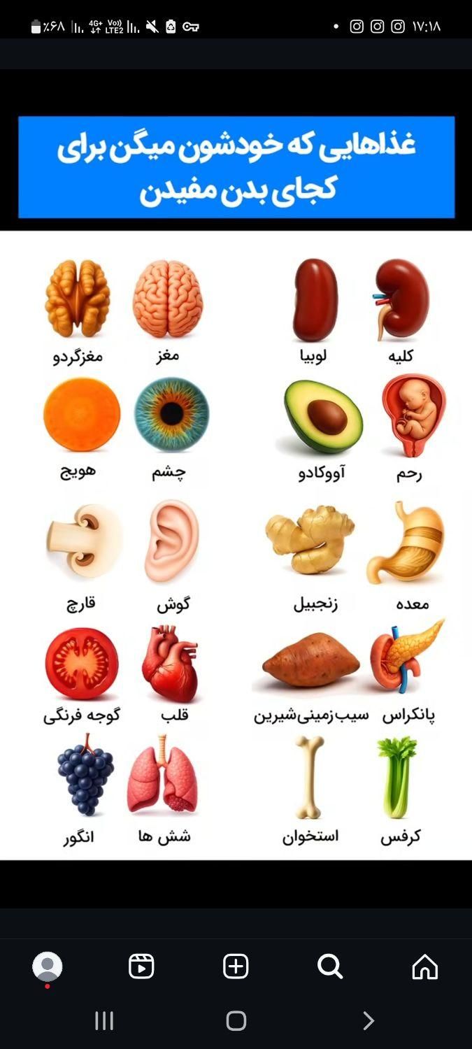 راهنمایی برای بیماری کم خونی|فعالیت داوطلبانه|رشت, بازار|دیوار