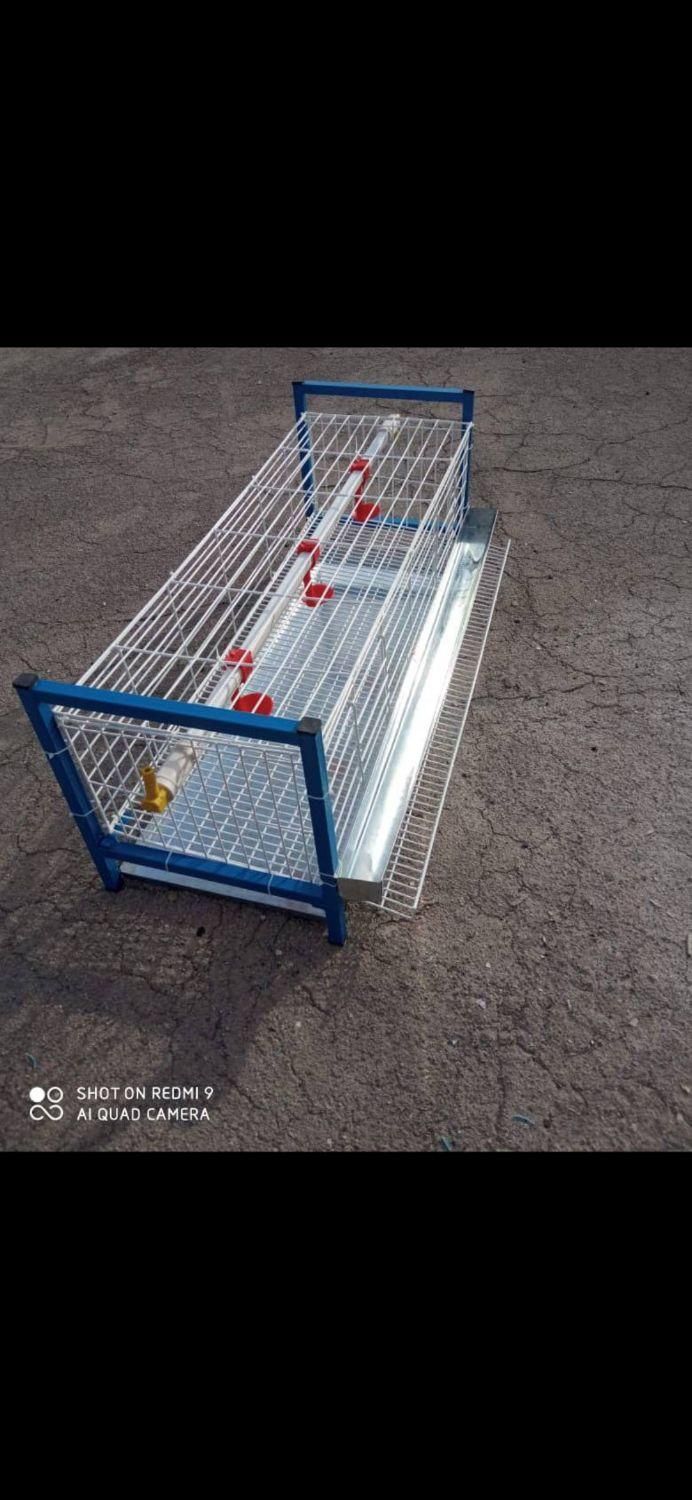 قفس مرغ تخمگذار ،قفس بلدرچین ،کبک|لوازم جانبی حیوانات|قم, نیروگاه|دیوار