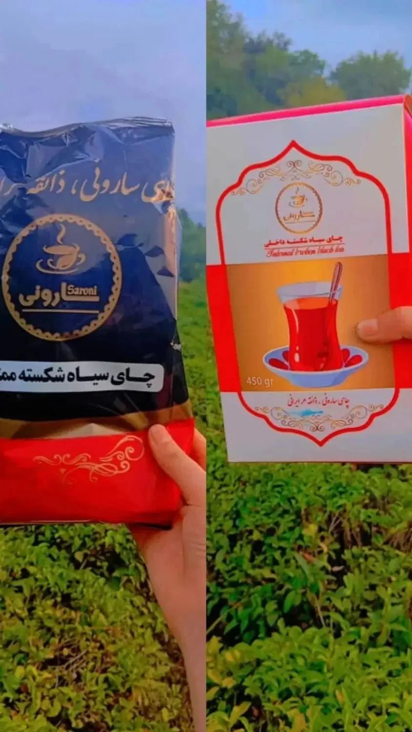 چای سیاه وسبز در بسته بندی های متنوع واوزان مختلف|خوردنی و آشامیدنی|املش, |دیوار