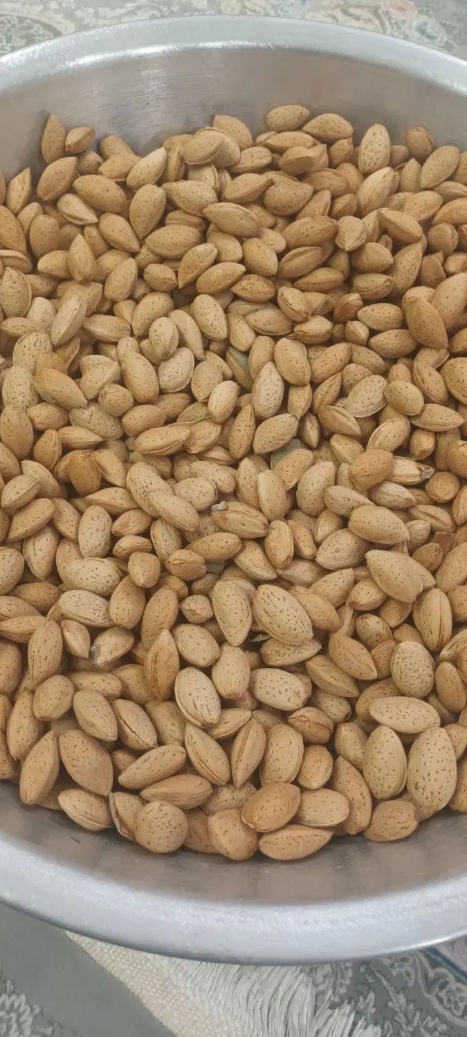 بادام تلخ|خوردنی و آشامیدنی|کرج, شهرک یاس جنوبی|دیوار