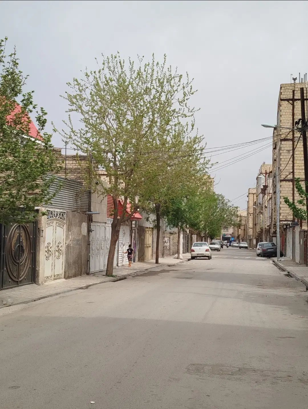 تصویر 5