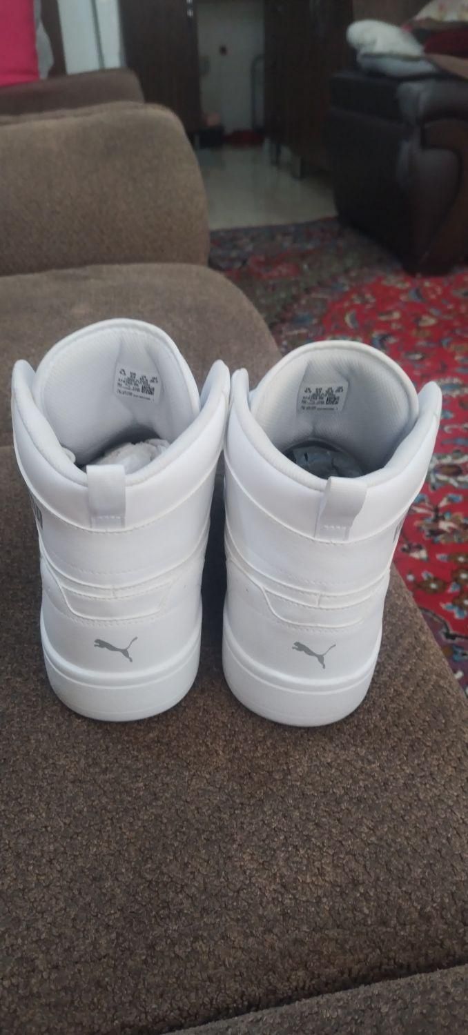 کفش puma سایز 43|کیف، کفش، کمربند|شاهین‌شهر, شهرک پردیس|دیوار