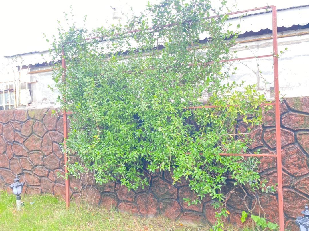 فروش ویلاباغ شهرکی1700متری مبله در منطقه آزاد|فروش خانه و ویلا|خشکبیجار, |دیوار