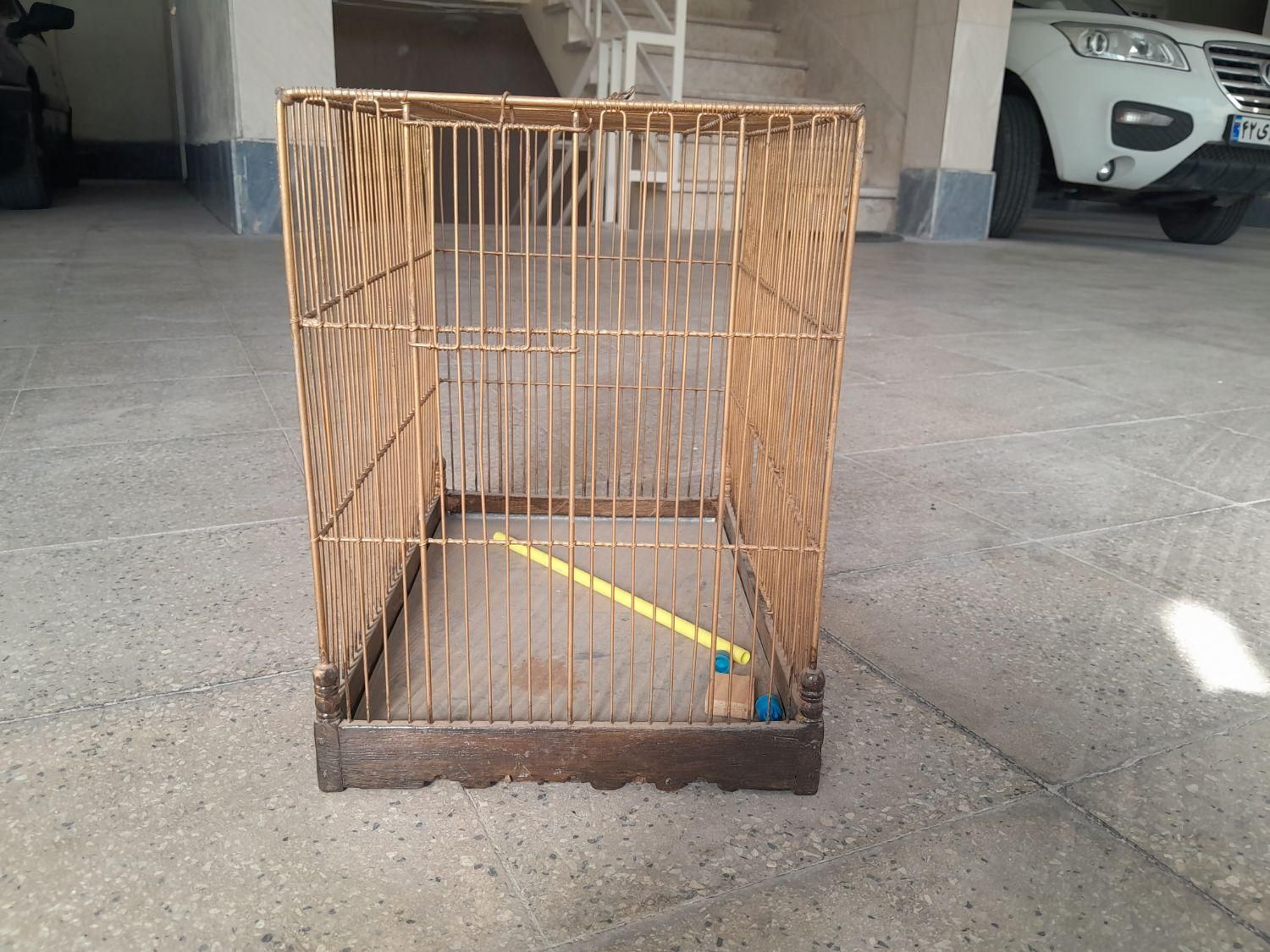 تعداد قفس در سایز های مختلف|لوازم جانبی حیوانات|پردیس, فاز ۴|دیوار