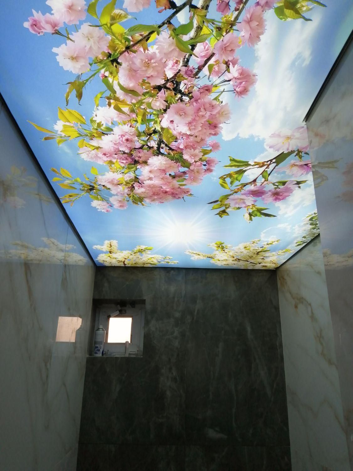 سقف کشسان (آسمان مجازی)|خدمات پیشه و مهارت|گرگان, |دیوار