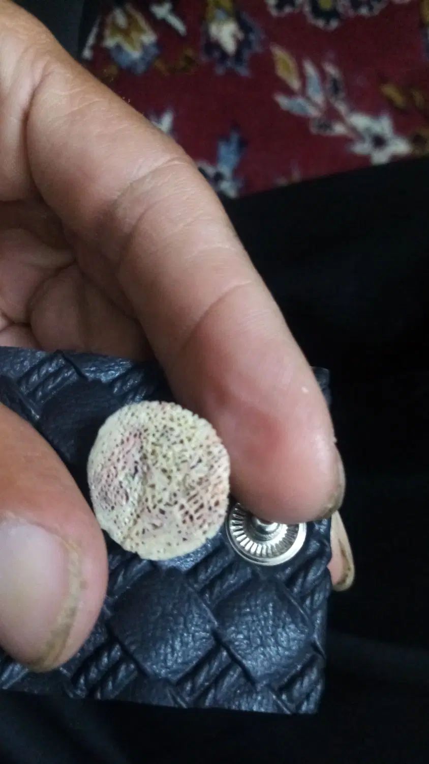 مهر اصل|بدلیجات|مشهد, ارشاد|دیوار