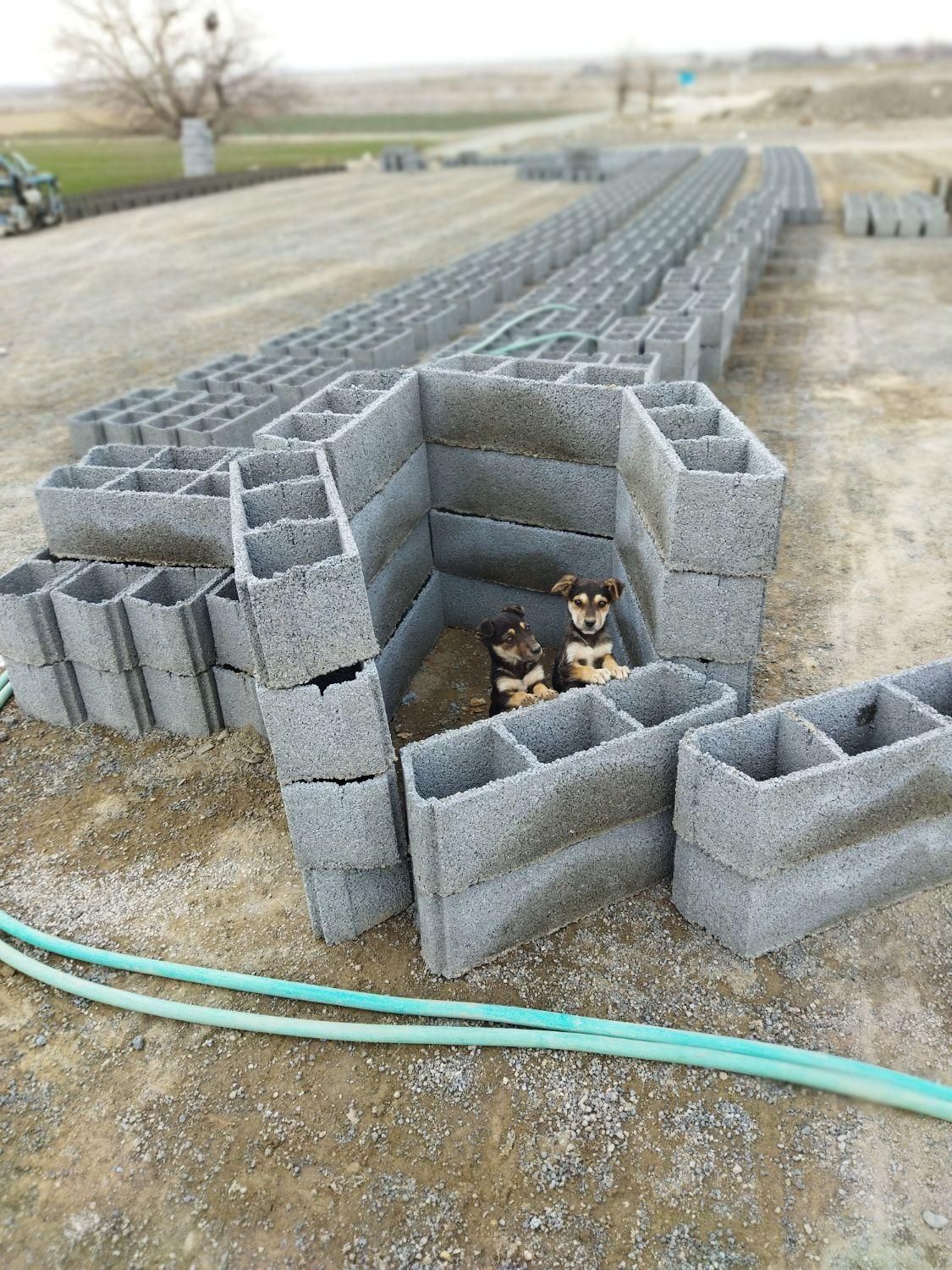 بلوک سیمانی سقفی ۲۰/۶۸ سبک وزن ۱۵کیلو|مصالح و تجهیزات ساختمان|مشهد, لقمانی|دیوار