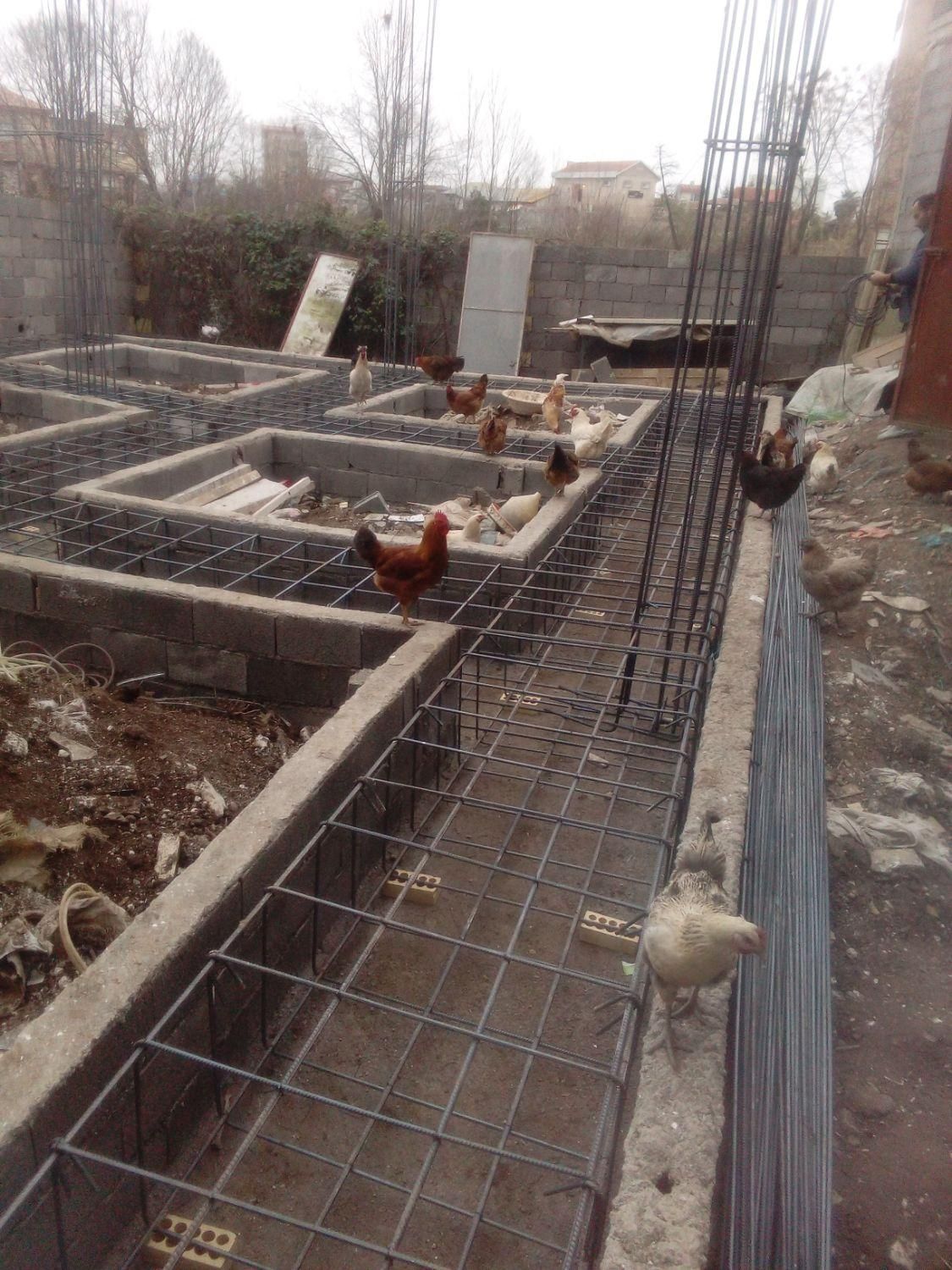 آرماتوربندی|خدمات پیشه و مهارت|رشت, حمیدیان|دیوار