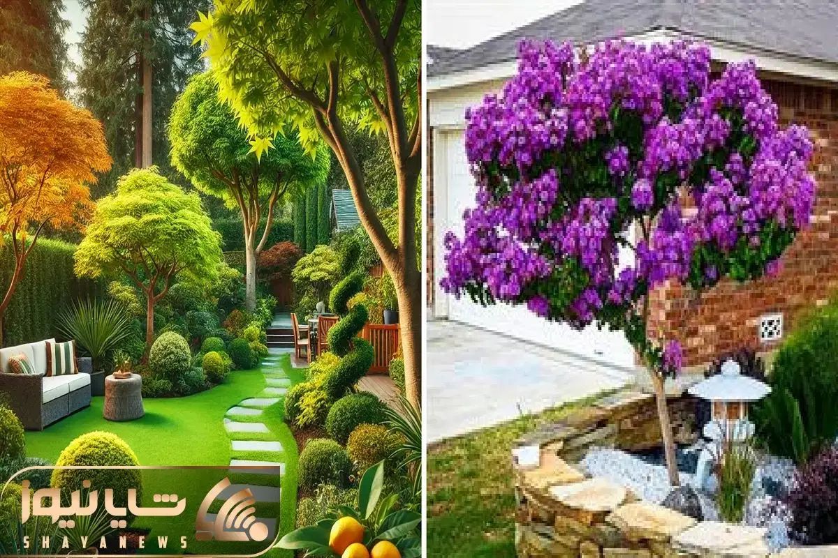 خدمات تخصصی باغبانی باغچه کاری تعویض خاک گلدون|خدمات باغبانی و درختکاری|تهران, تهرانپارس غربی|دیوار