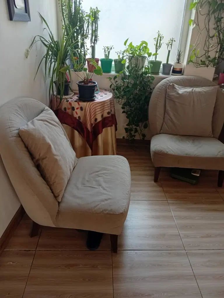 دوتا مبل تکنفره|مبلمان خانگی و میز عسلی|تهران, ده‌ونک|دیوار