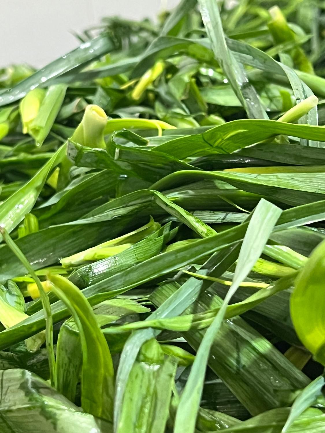 پخش بزرگ سبزی کرج|خوردنی و آشامیدنی|کرج, آق تپه|دیوار