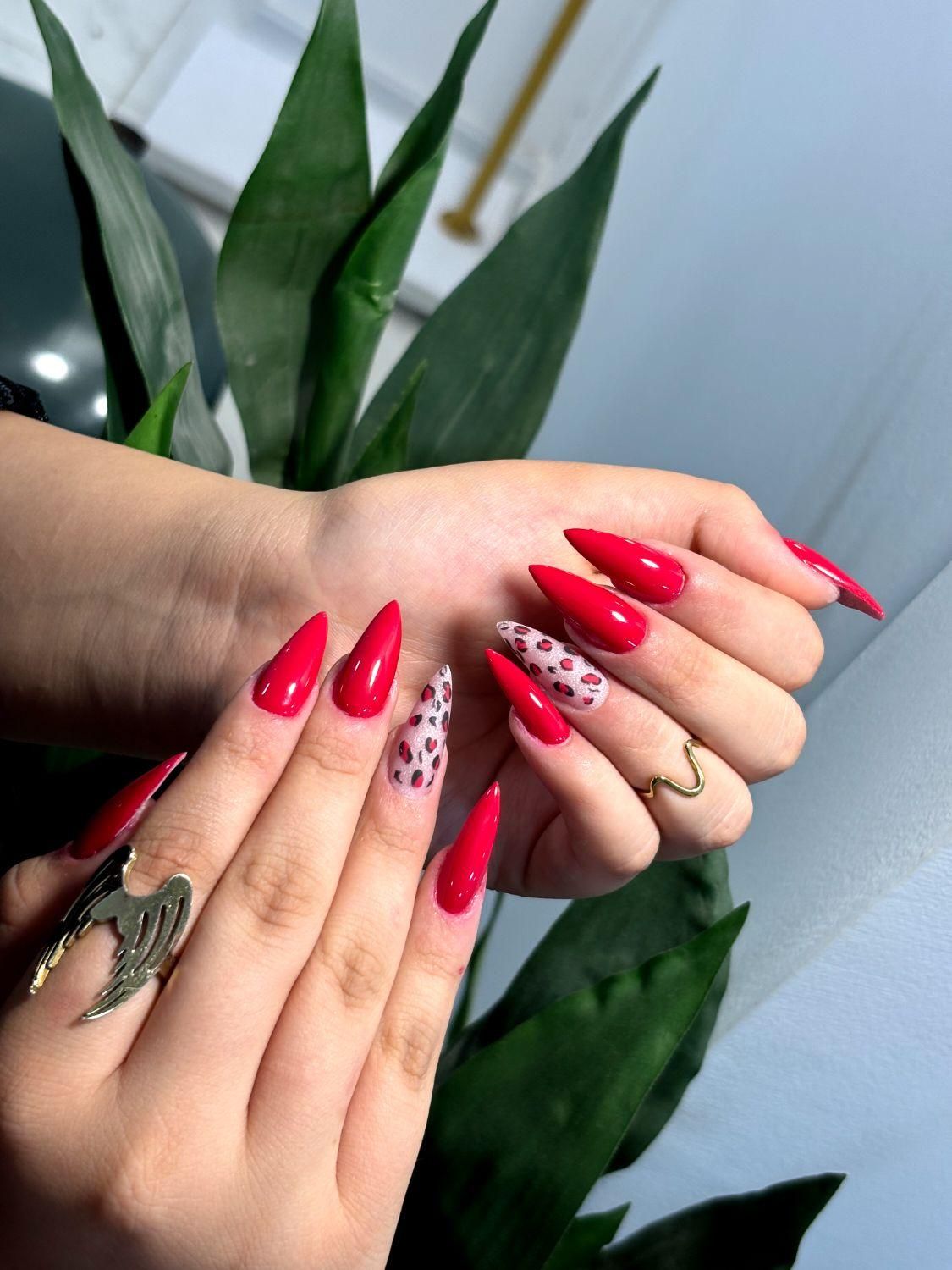 تخفیف کاشت و ترمیم ناخن|خدمات آرایشگری و زیبایی|رشت, گلزاران|دیوار