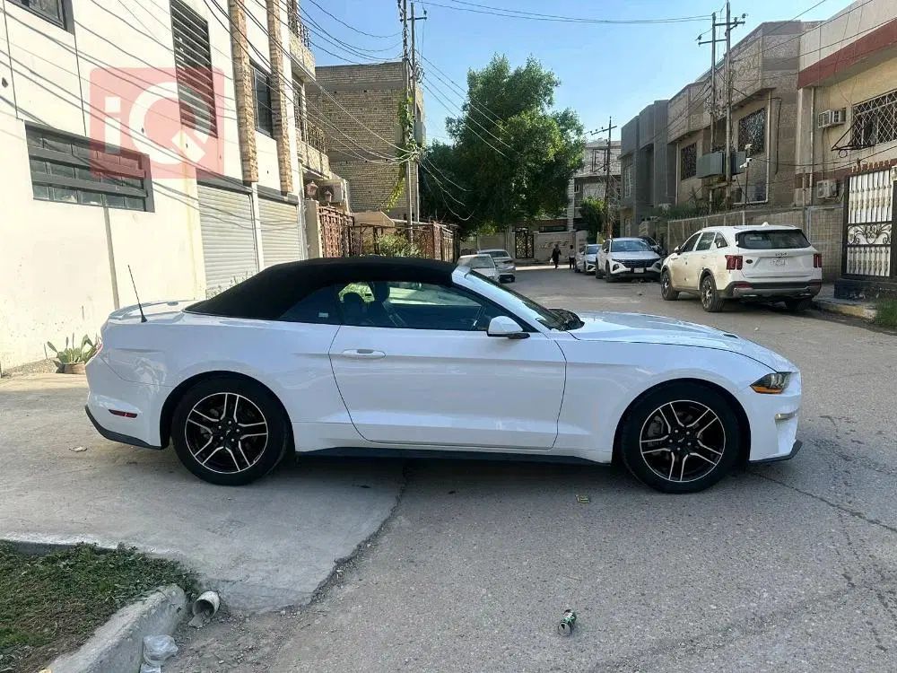 فورد موستانگ 2022 گذر موقت سام گروپ|خودرو سواری و وانت|تهران, ظفر|دیوار