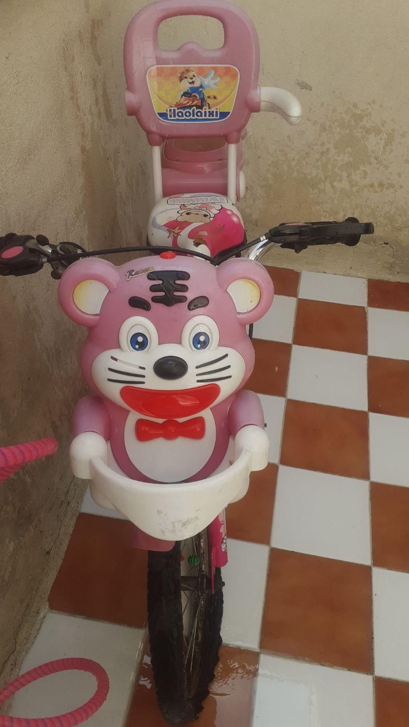 دوچرخه ۱۶|دوچرخه، اسکیت، اسکوتر|قدس, شهر‌قدس|دیوار