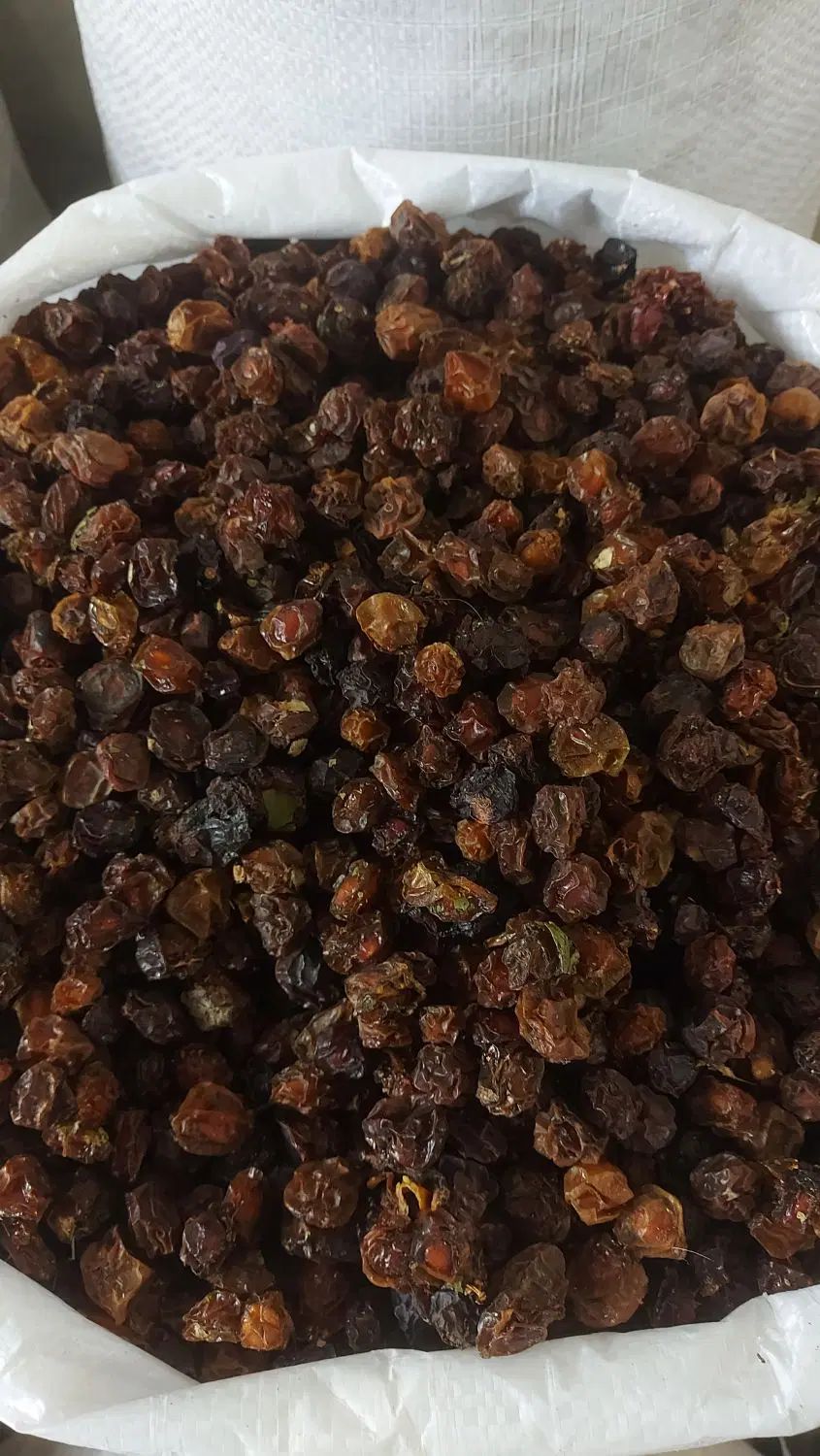 آلوچه و آلبالو|خوردنی و آشامیدنی|مشهد, کارمندان دوم|دیوار