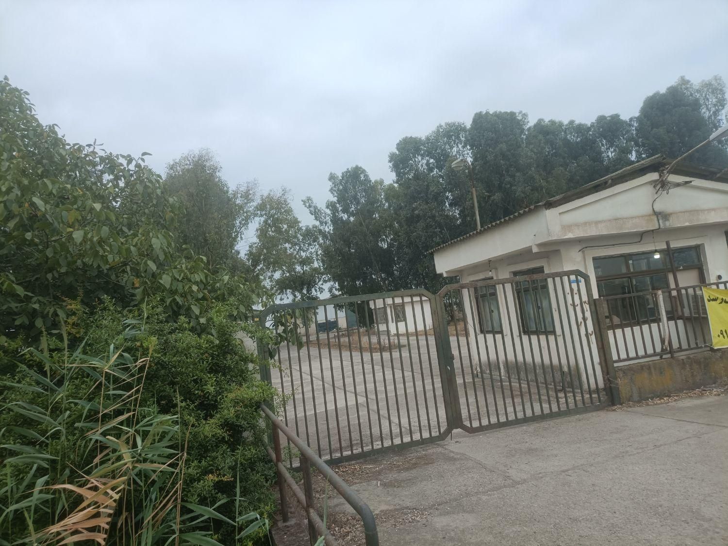 فروش ۳  هکتار زمین در منطقه اآزاد تجاری  چپکرود|فروش دفتر صنعتی، کشاورزی، تجاری|جویبار, |دیوار