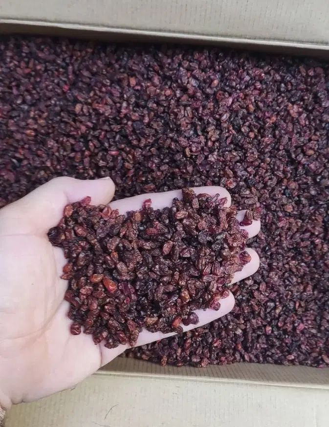 زرشک اناری تیره رنگ مناسب رستوران و آبگیری عمده|خوردنی و آشامیدنی|تهران, جیحون|دیوار