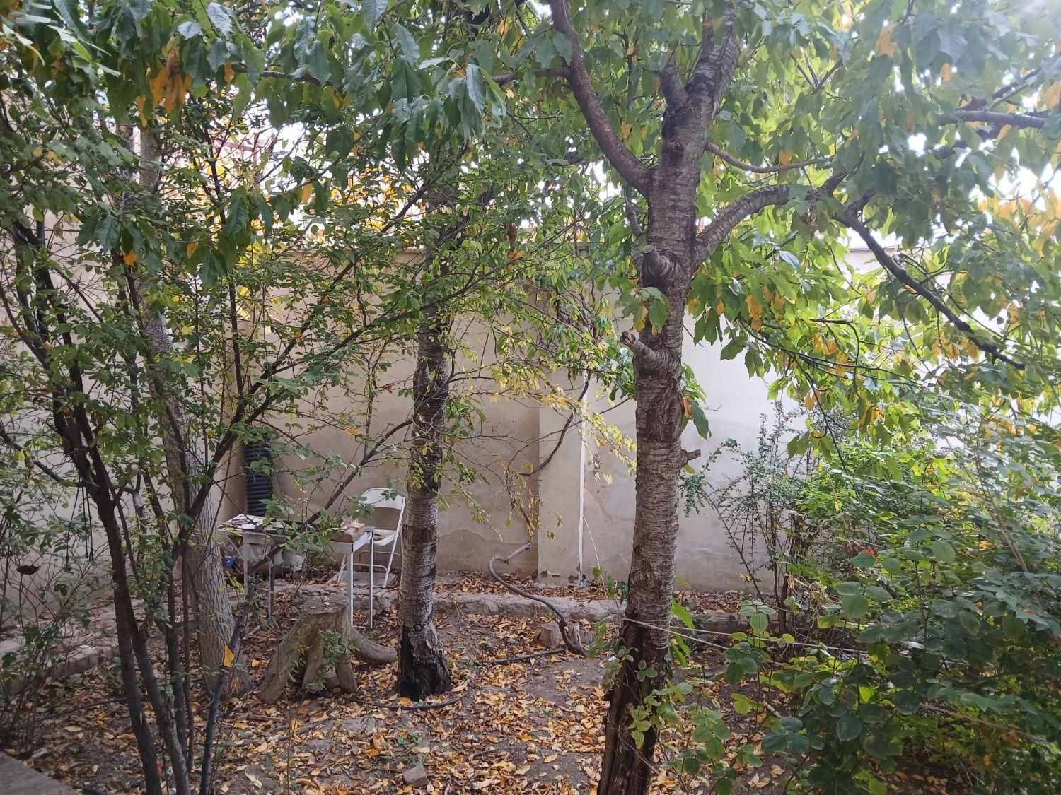 خانه باغ در قمصر کاشان|اجارهٔ کوتاهمدت ویلا و باغ|قمصر, |دیوار