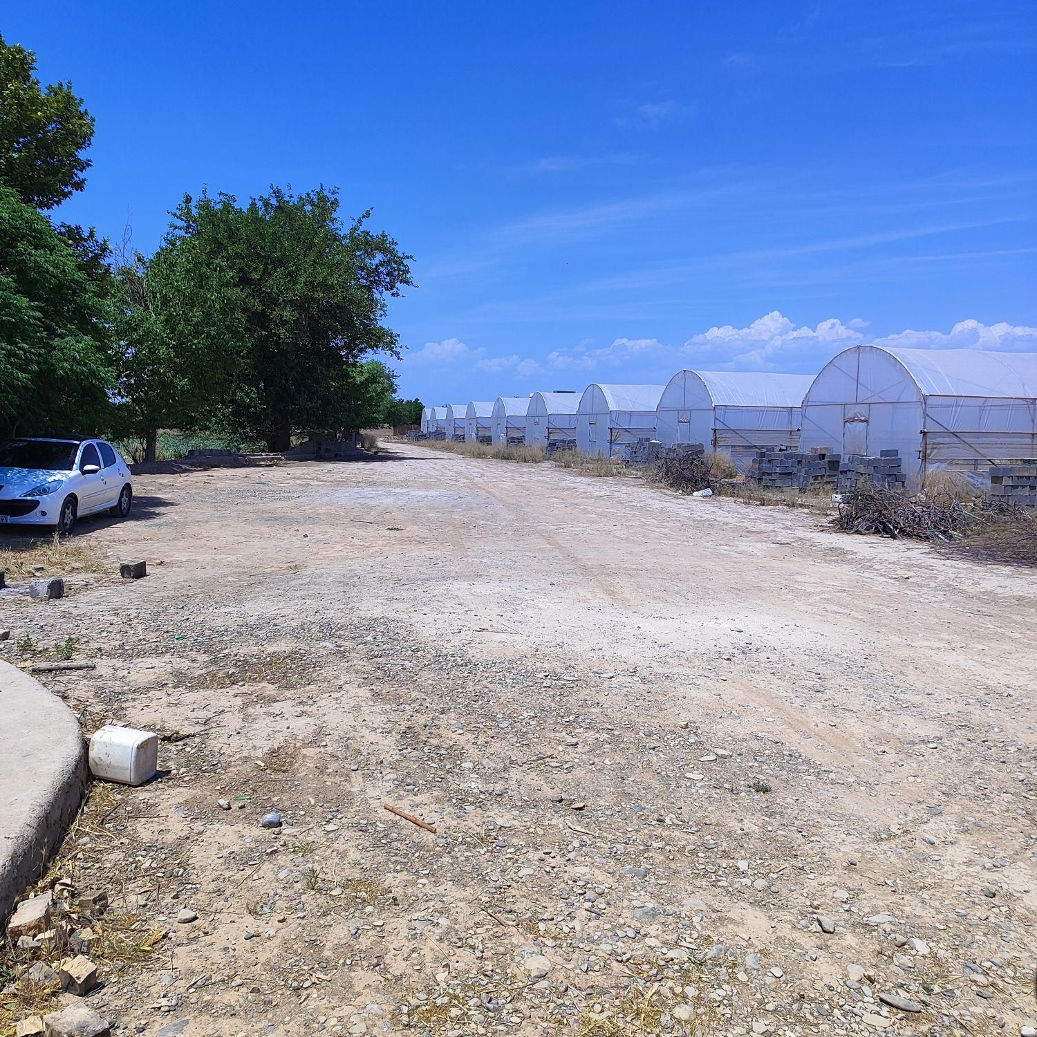 فروش ۱۵هزارمتر زمین کشاورزی گلخانه ویلاسازی پیشوا|فروش دفتر صنعتی، کشاورزی، تجاری|جوادآباد, |دیوار