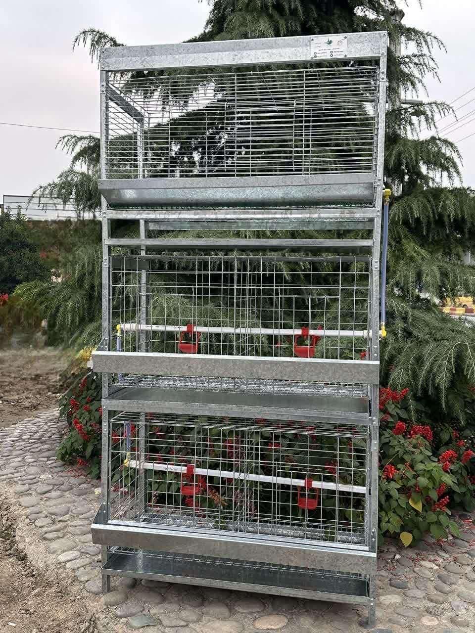 فروش قفسه مر غ تخمگذار و بلدر چین تخمگذار|ماشین‌آلات صنعتی|آمل, |دیوار