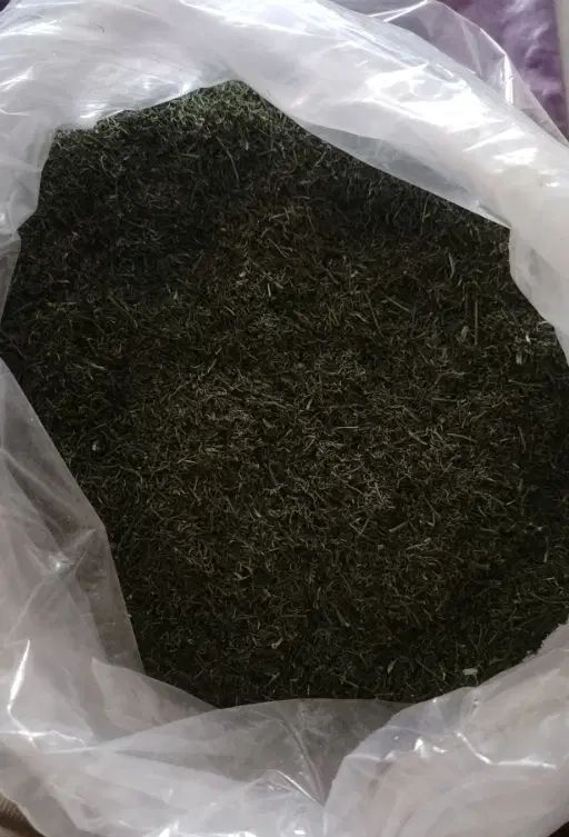 شوید تازه خوش عطر شوی نیشابور|خوردنی و آشامیدنی|تهران, عباس‌آباد|دیوار