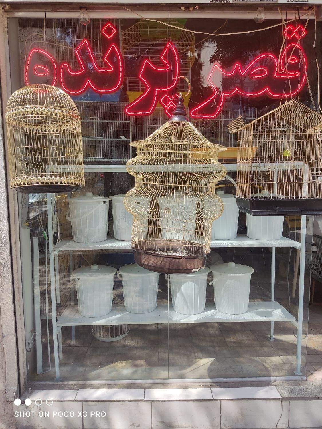 قصر پرنده انواع قفس پرنده و قفس و ملزومات پرنده|لوازم جانبی حیوانات|مشهد, آزادشهر|دیوار